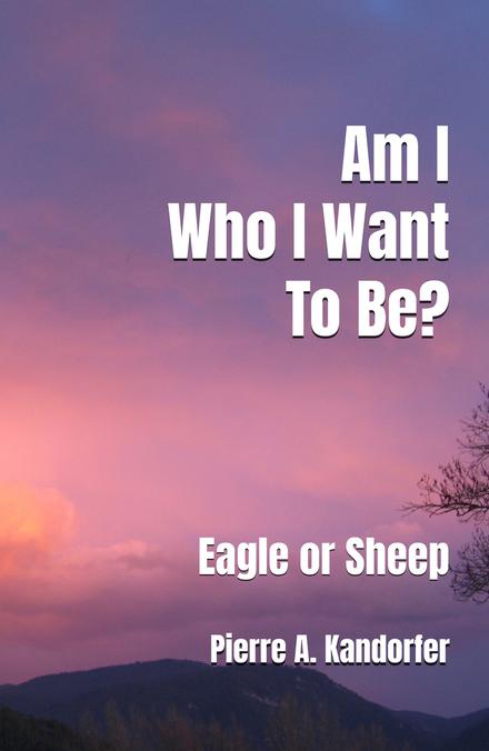 Am I Who I Want To Be?
